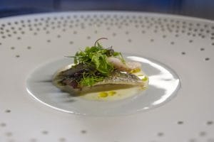 World Ocean’s Day - Scarello Agli Amici